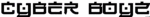 Cyber Boyz Logo